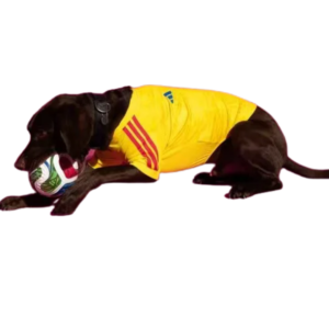 Ropa Mascota Colombia